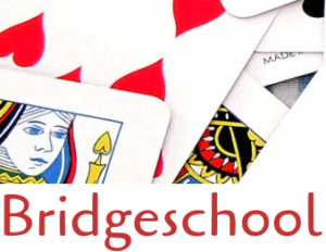 Presentatie bridgeclubs voor cursisten in De Mellenshorst